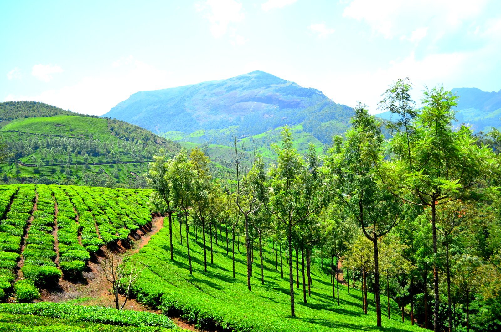 Munnar Holidays Packages | Travels in Munnar | Munnar Tour Packages | Tent Camping in Munnar | Jeep Safari in Munnar | Jeep Safari Munnar | Tent Camping Munnar | Munnar Tour Packages | Munnar Tour Packages for Family | Group Tour Packages | Corporate Tour Packages | Munnar Honeymoon Packages | Munnar Taxi Services | Cab Rental in Munnar | Munnar Sightseeing Places | Local Sightseeing in Munnar | Sightseeing Places in Munnar | Jeep Safari in Munnar | Trekking in Munnar | Sunrise Trekking in Munnar | Kolukkumalai Trekking in Munnar |Best Travels in Munnar | Best Holiday Packages in Munnar | Holidays in Munnar | Holiday Packages in Munnar | Taxi Service in Munnar | Outstation Trips in Munnar | Room Booking in Munnar | Munnar Room Booking | Hotel Booking in Munnar | Munnar Hotels | Munnar Cottages | Munnar Resorts | Sightseeing Places Near me | Munnar Vacation Packages | Hiking Trials in Munnar | Munnar Hiking Trails | Munnar Trekking Packages | Tent Camping Munnar | Tent Camping Stay | Jeep Trekking in Munnar | Best Trekking in Munnar | Chokramudi Trekking in Munnar | Munnar Trekking Booking | Munnar Trekking Packages | Best Jeep Safari in Munnar | South India Tour | Allepey Tour | Kerala Tours | Madurai Tours | Munnar Tour Packages from Kochi | Cheap Munnar Tour Packages | Adventure Munnar | Off Road