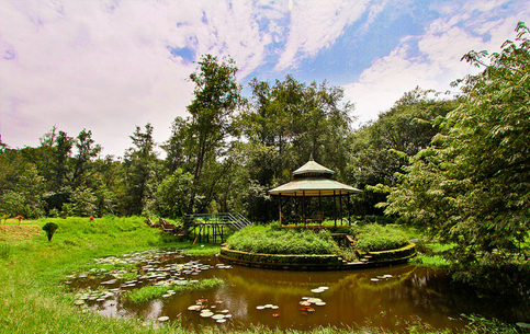 Munnar Holidays Packages | Travels in Munnar | Munnar Tour Packages | Tent Camping in Munnar | Jeep Safari in Munnar | Jeep Safari Munnar | Tent Camping Munnar | Munnar Tour Packages | Munnar Tour Packages for Family | Group Tour Packages | Corporate Tour Packages | Munnar Honeymoon Packages | Munnar Taxi Services | Cab Rental in Munnar | Munnar Sightseeing Places | Local Sightseeing in Munnar | Sightseeing Places in Munnar | Jeep Safari in Munnar | Trekking in Munnar | Sunrise Trekking in Munnar | Kolukkumalai Trekking in Munnar |Best Travels in Munnar | Best Holiday Packages in Munnar | Holidays in Munnar | Holiday Packages in Munnar | Taxi Service in Munnar | Outstation Trips in Munnar | Room Booking in Munnar | Munnar Room Booking | Hotel Booking in Munnar | Munnar Hotels | Munnar Cottages | Munnar Resorts | Sightseeing Places Near me | Munnar Vacation Packages | Hiking Trials in Munnar | Munnar Hiking Trails | Munnar Trekking Packages | Tent Camping Munnar | Tent Camping Stay | Jeep Trekking in Munnar | Best Trekking in Munnar | Chokramudi Trekking in Munnar | Munnar Trekking Booking | Munnar Trekking Packages | Best Jeep Safari in Munnar | South India Tour | Allepey Tour | Kerala Tours | Madurai Tours | Munnar Tour Packages from Kochi | Cheap Munnar Tour Packages | Adventure Munnar | Off Road